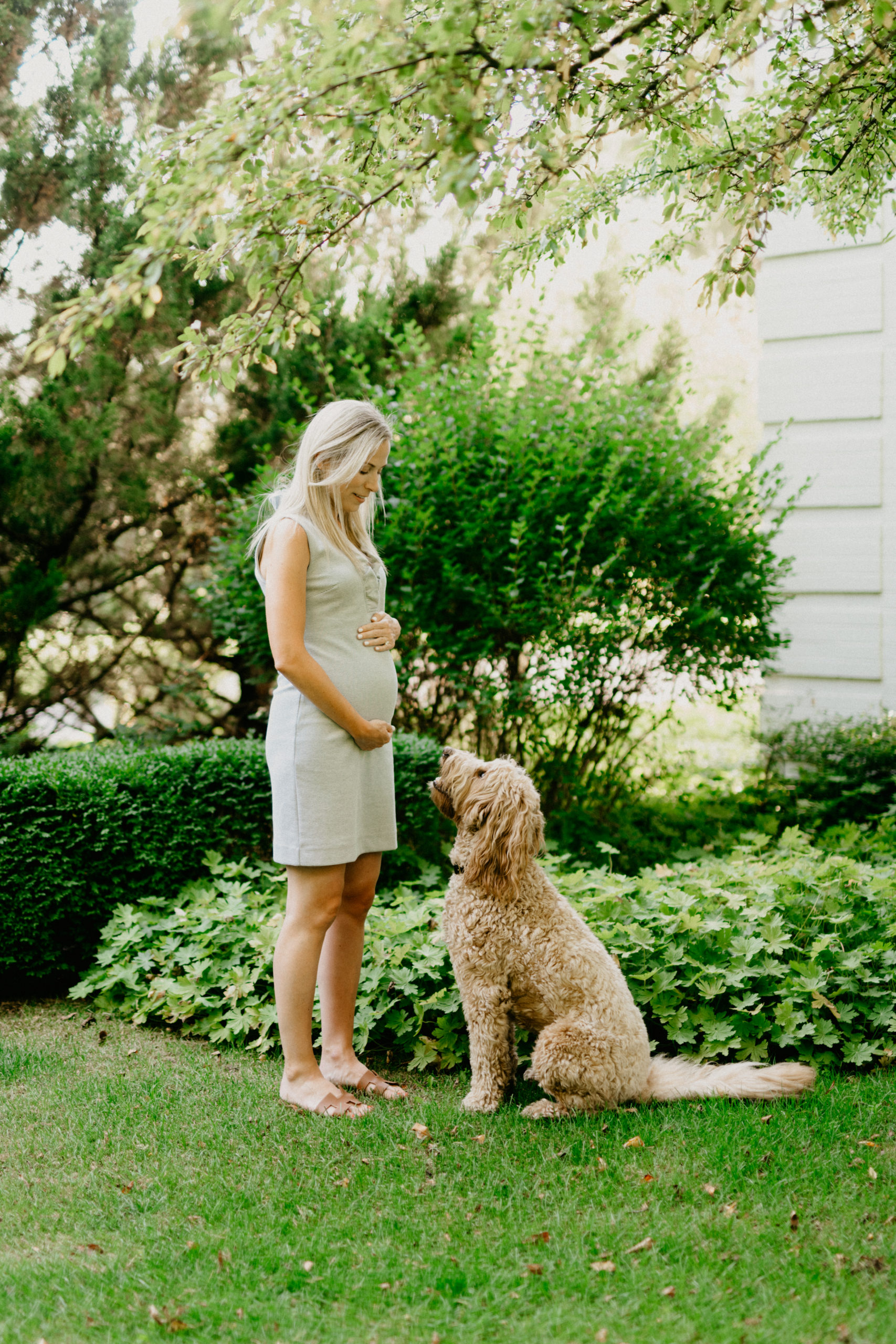 Learn about preparing your dog for baby with Jen from Dogs of MKE.